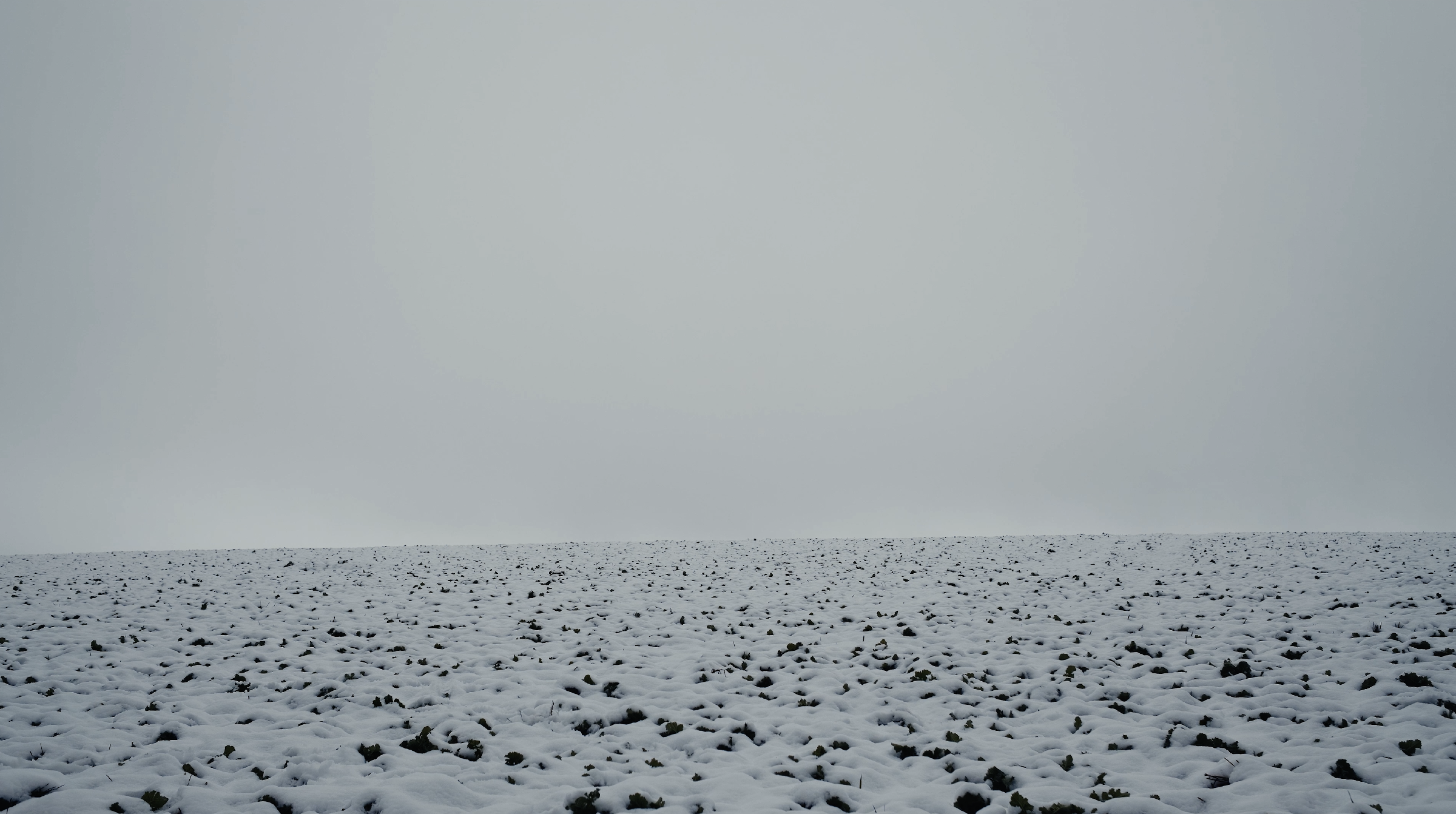 Capture d’écran 2024-10-24 à 23.01.23