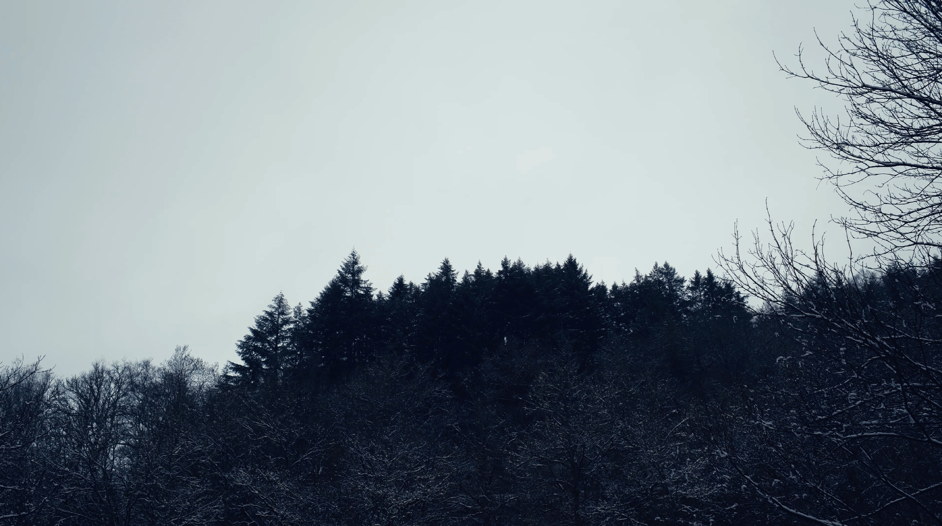 Capture d’écran 2024-10-24 à 23.01.33