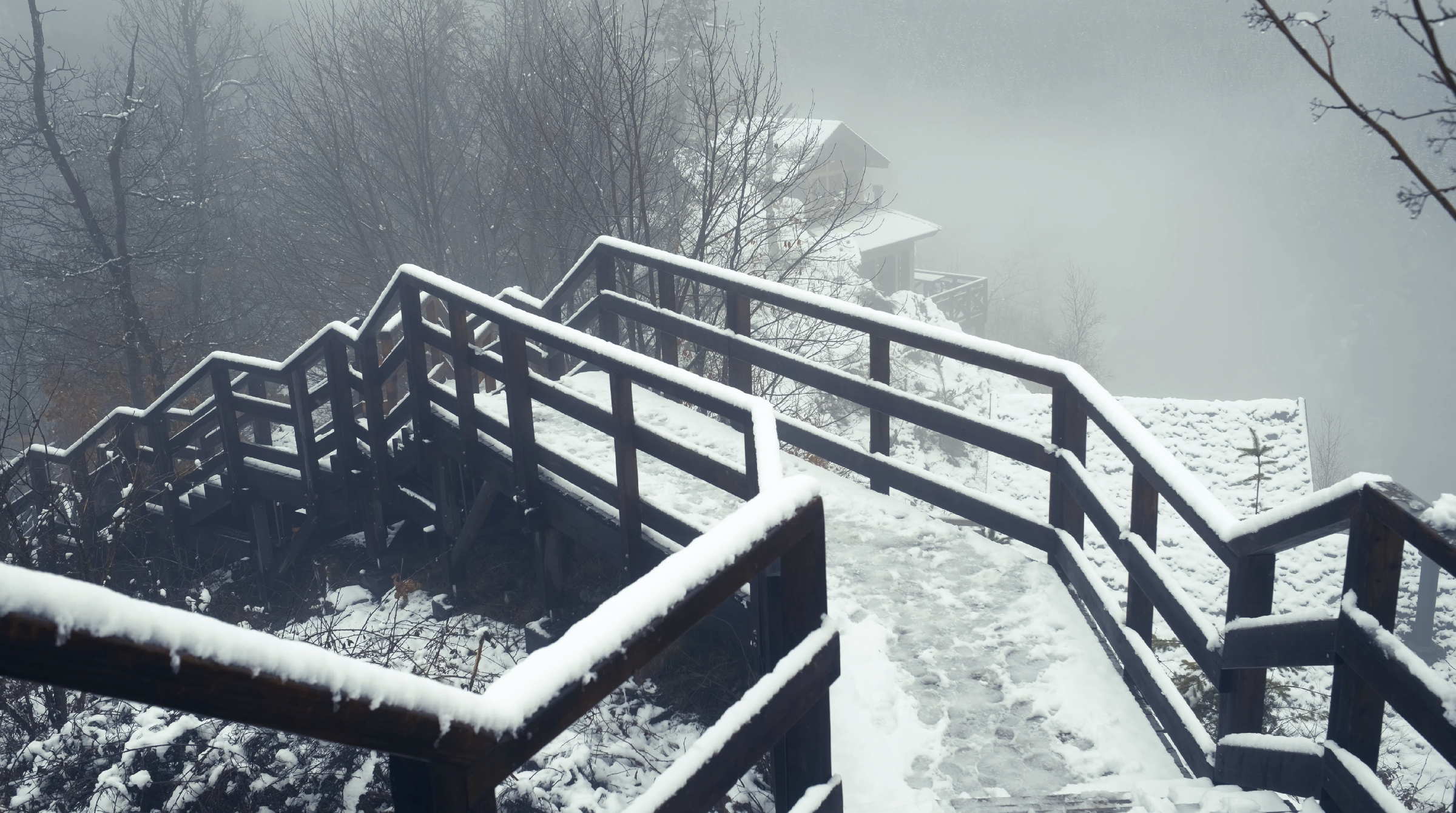 Capture d’écran 2024-10-24 à 23.01.53