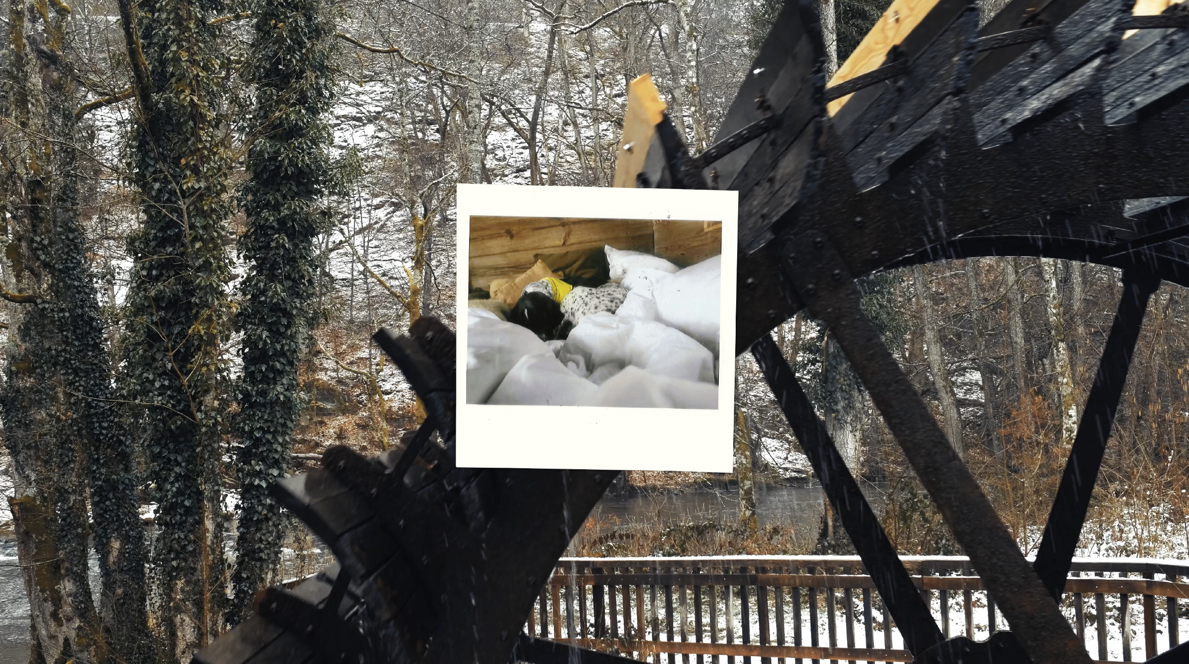 Capture d’écran 2024-10-24 à 23.02.23