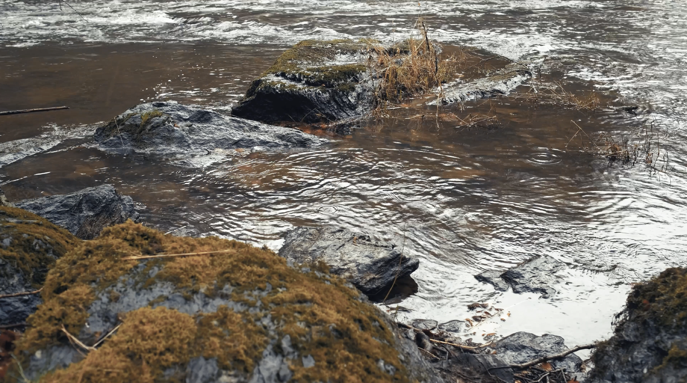 Capture d’écran 2024-10-24 à 23.02.53
