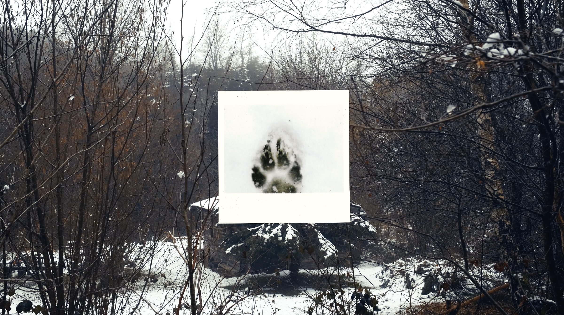 Capture d’écran 2024-10-24 à 23.03.31