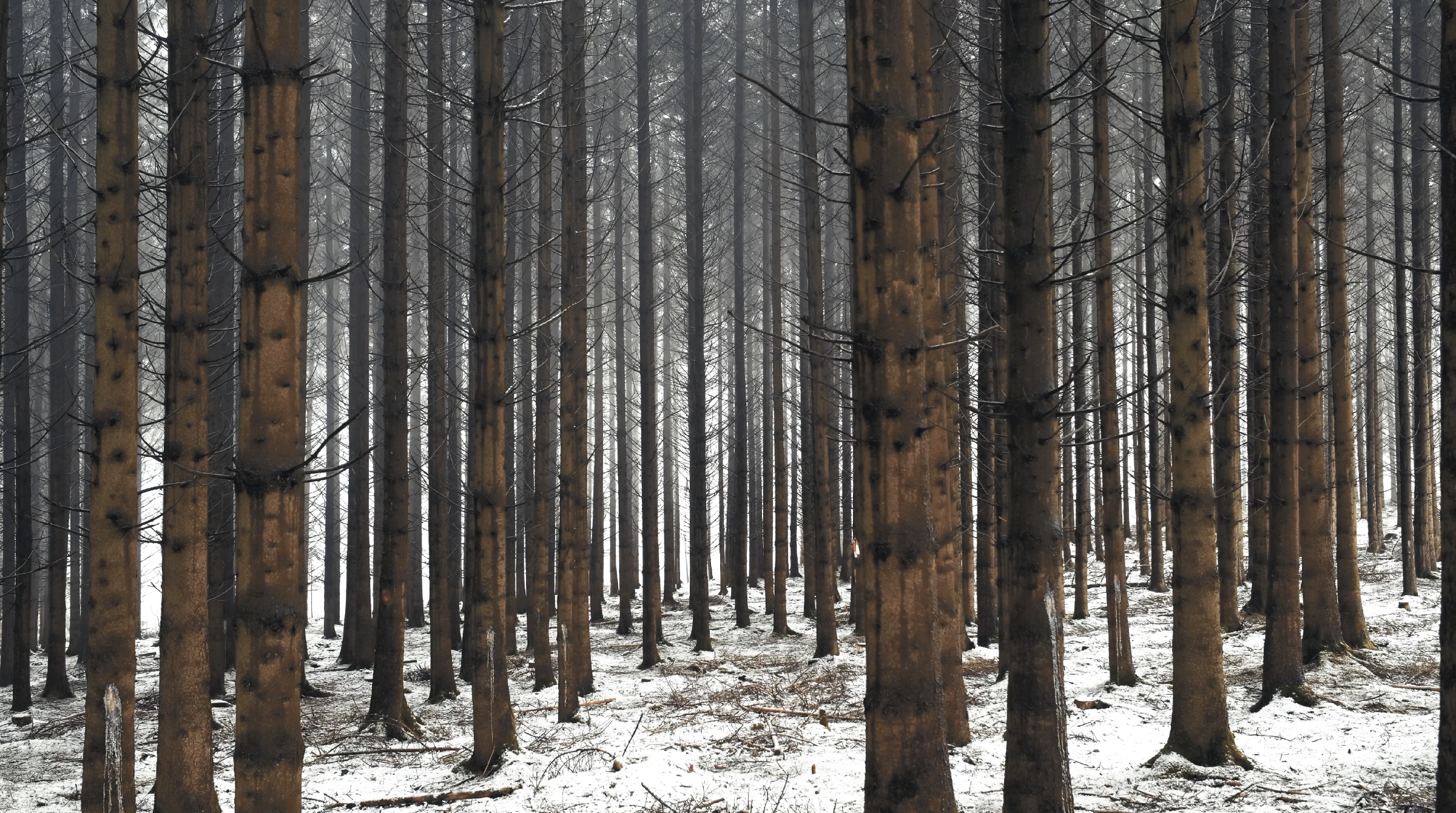 Capture d’écran 2024-10-24 à 23.03.50