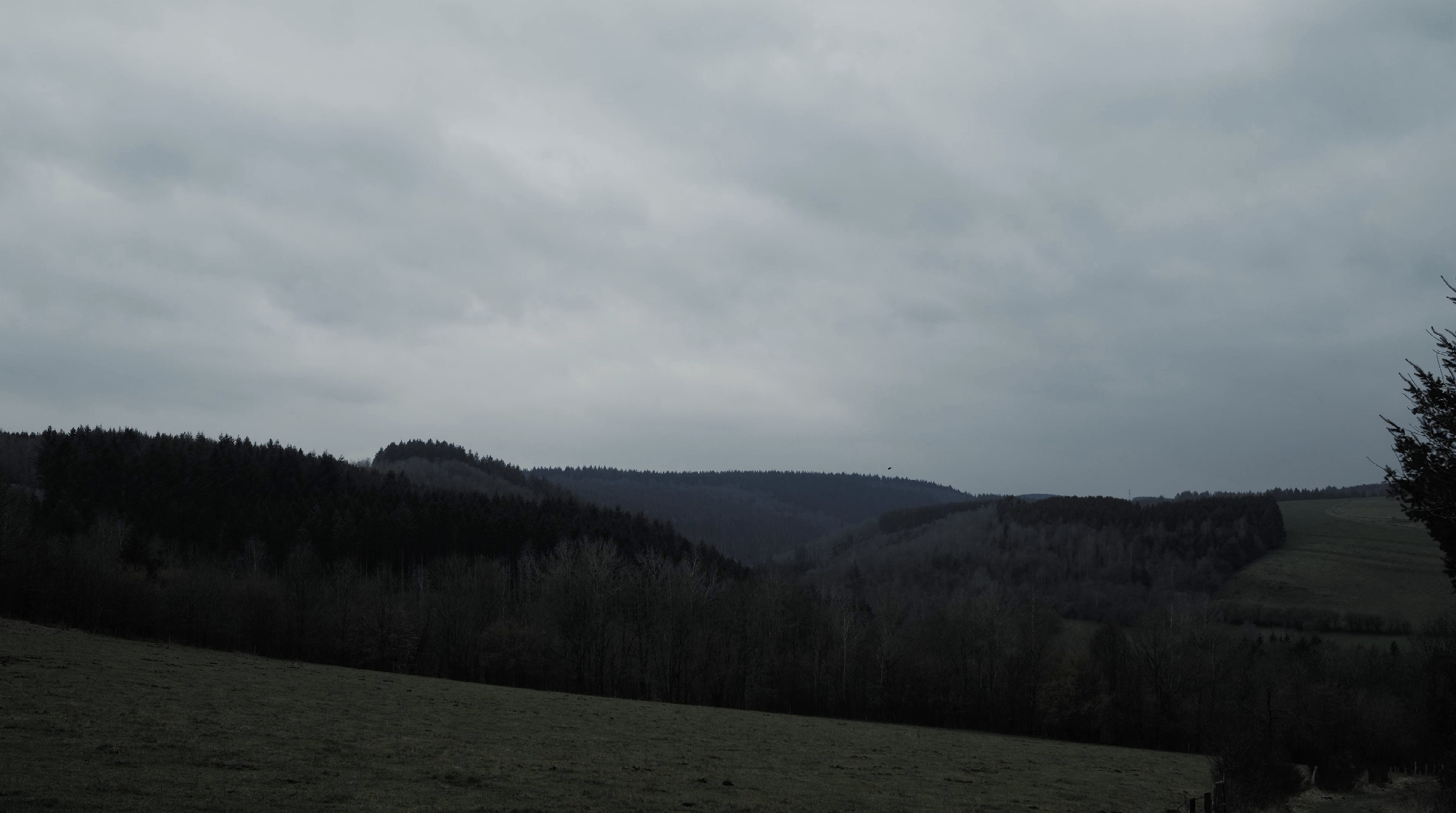 Capture d’écran 2024-10-24 à 23.04.02