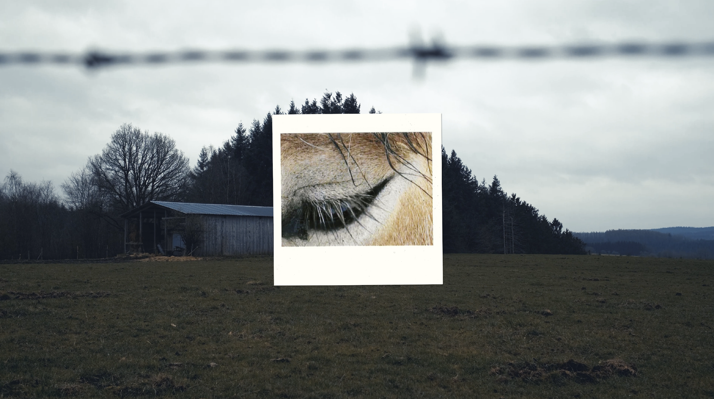 Capture d’écran 2024-10-24 à 23.04.24