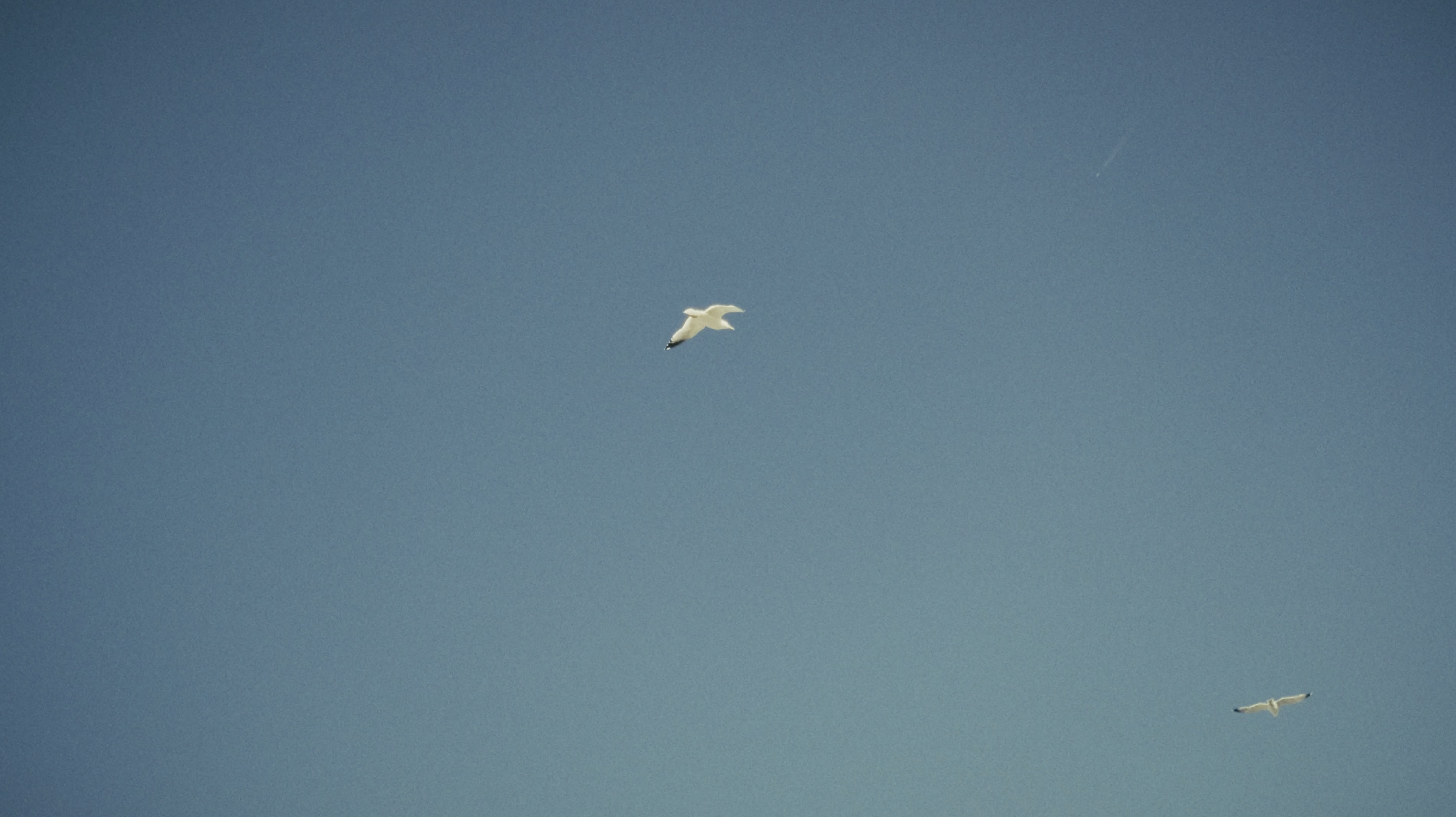 Capture d’écran 2024-10-26 à 11.58.21