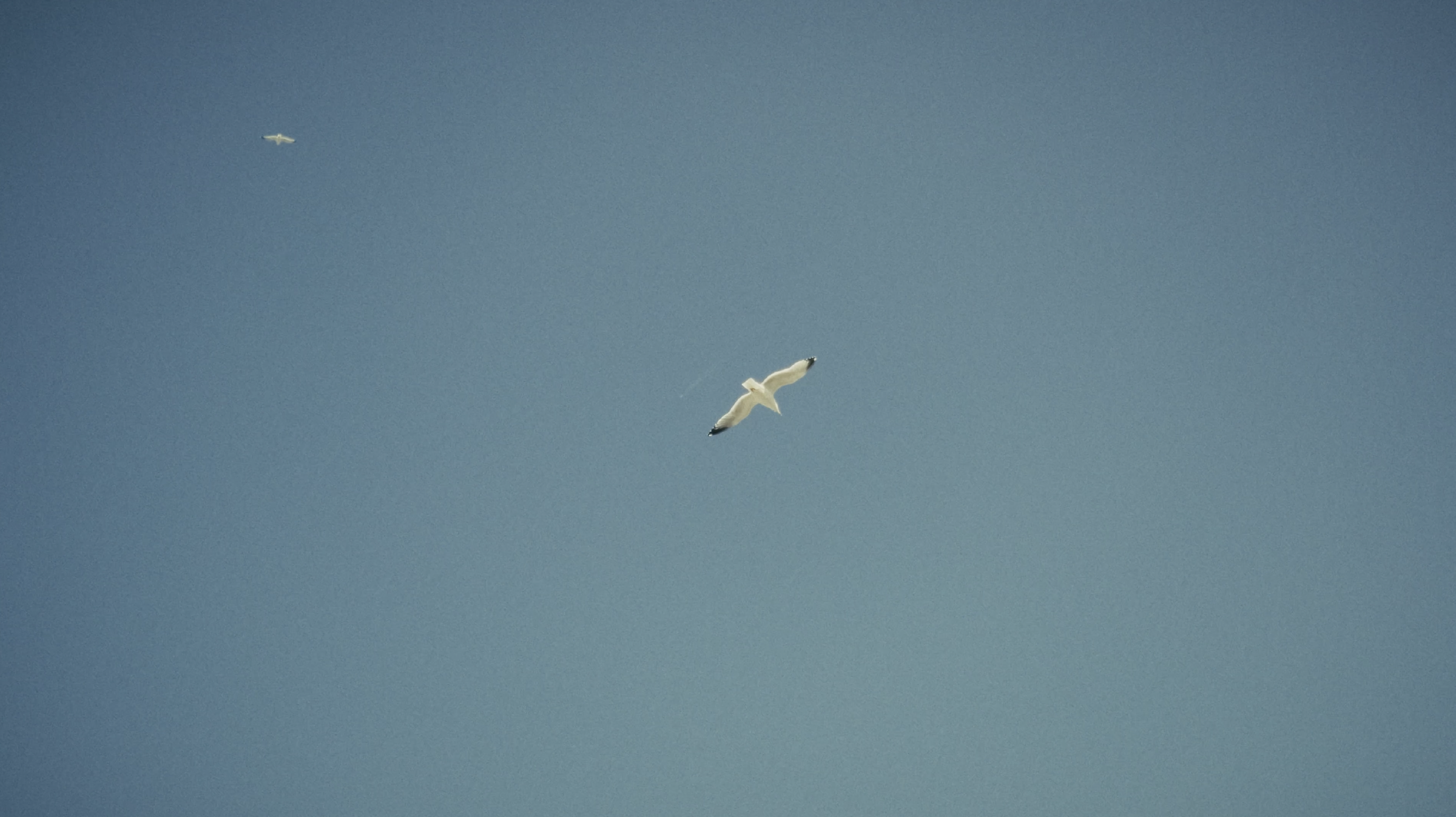 Capture d’écran 2024-10-26 à 11.58.35