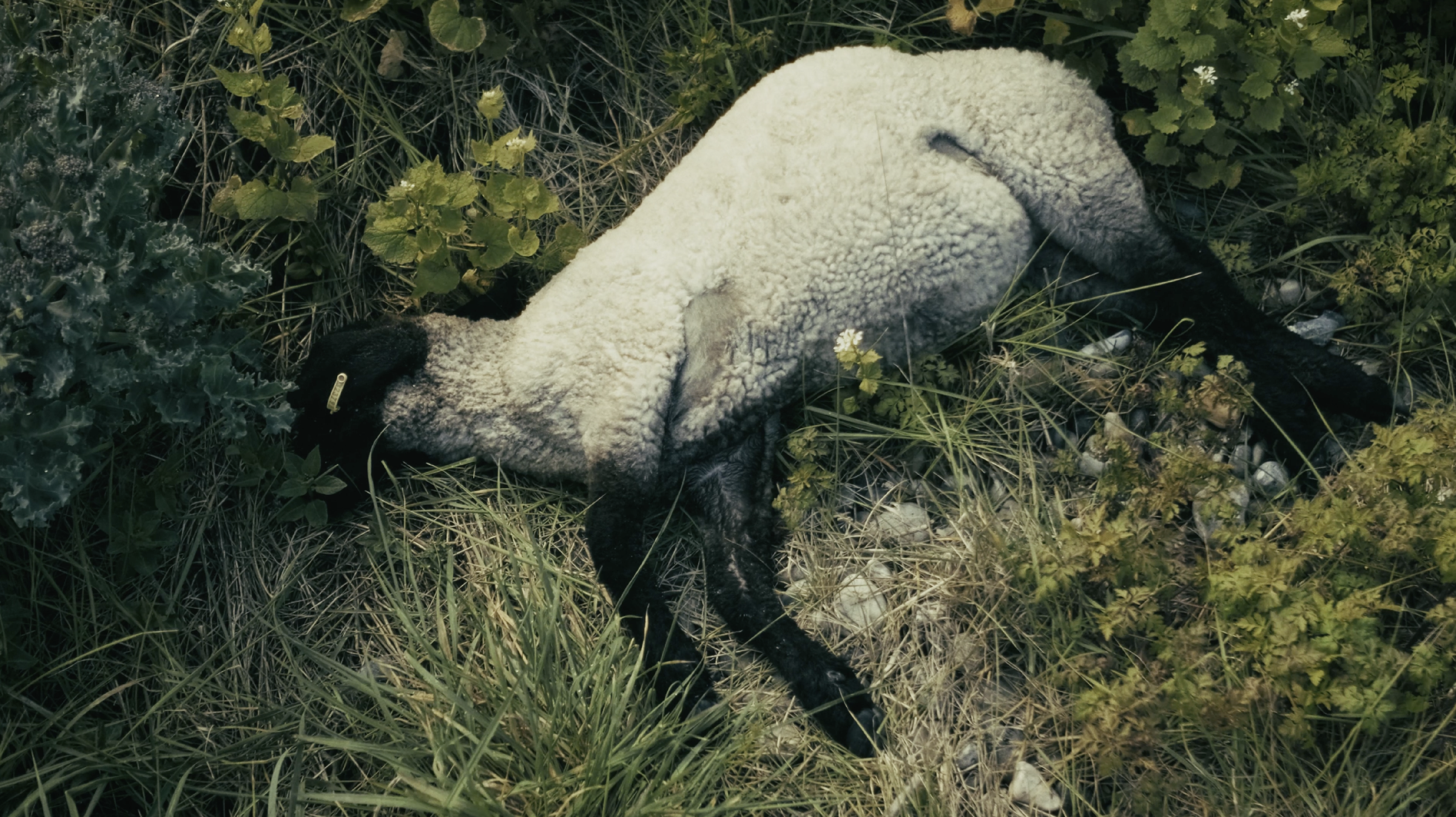 Capture d’écran 2024-10-26 à 11.58.55