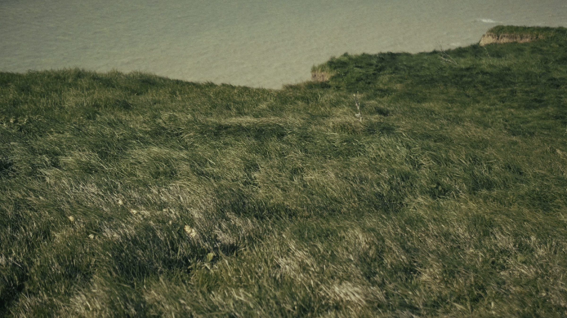 Capture d’écran 2024-10-26 à 11.59.05