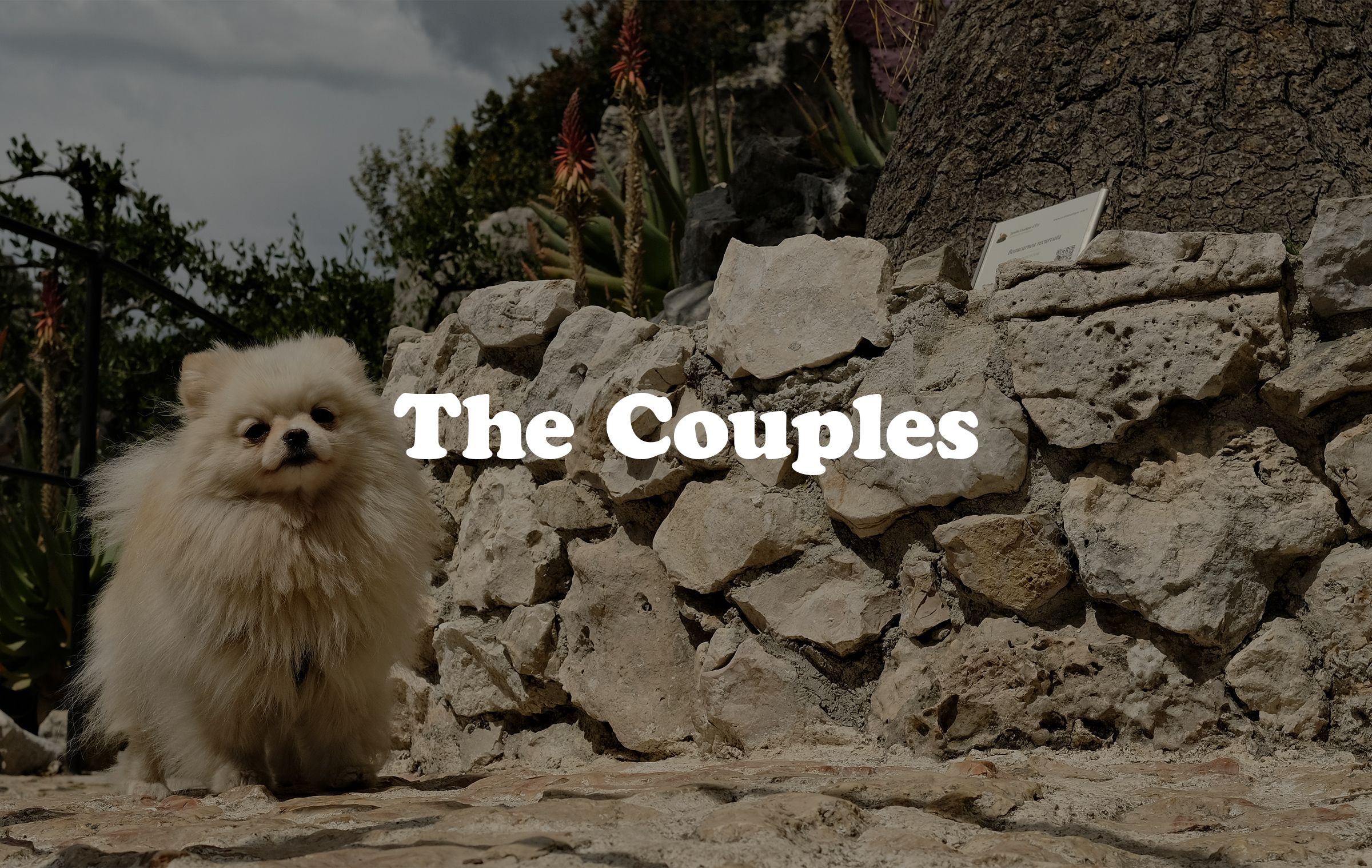 Image gallery marquee